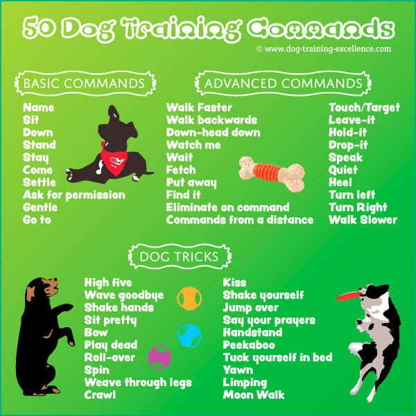 dog training